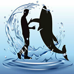 Team Page: Dances with Dolphins